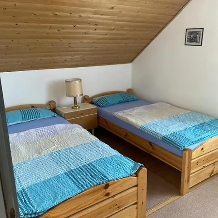 Johanna Balatoni Haz