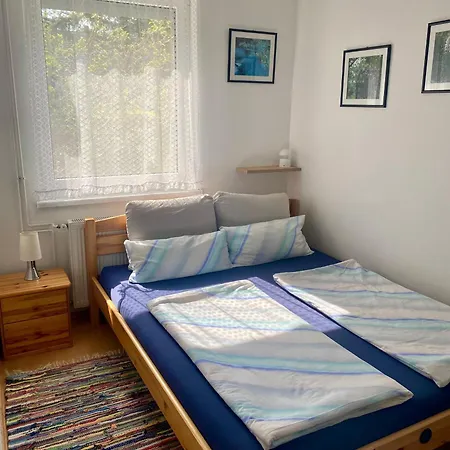 Johanna Balatoni Haz *