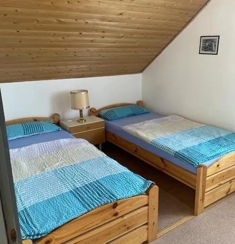 Johanna Balatoni Haz