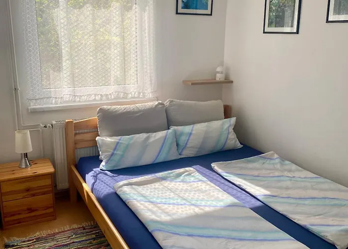 Johanna Balatoni Haz *